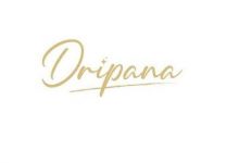 dripana-launches-new-“torso”-—-redefining-emotional-connection-through-ai-and-multi-sensory-technology